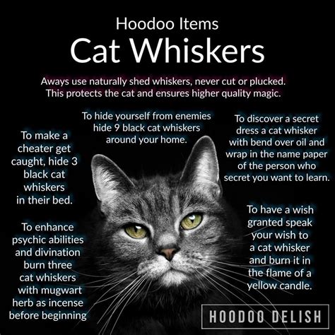 Enigmatic cat whisker spell